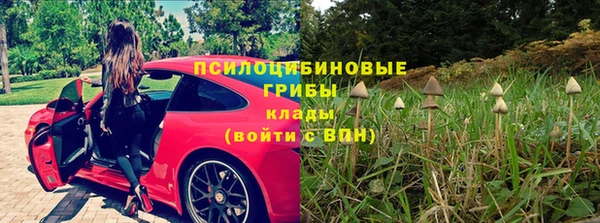 прущая мука Лиски