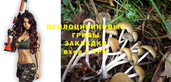 прущая мука Лиски