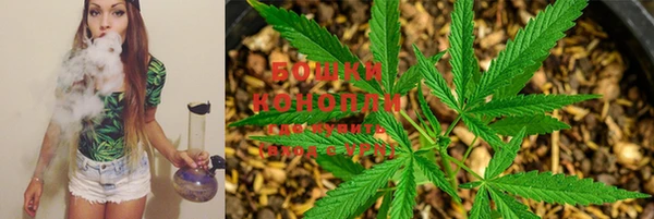 прущая мука Лиски